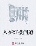 你在红楼我在西游