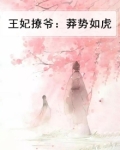 王妃撩爷:莽势如虎