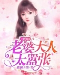 一胎双凤,老婆大人太嚣张