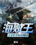 海贼王之守护草帽海贼团