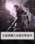 王者荣耀之全能打野选手