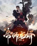 帝师龙婿