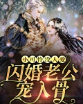 小可怜没人爱，闪婚老公宠入骨