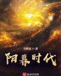 阳暮时代