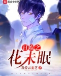 日娱之花未眠 起点