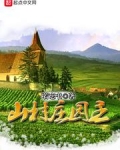 山村庄园主小说